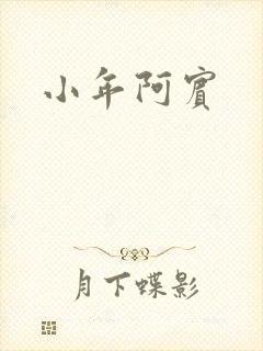 小年阿宾封面