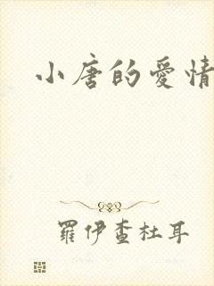 小唐的爱情史