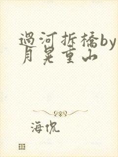 过河拆桥by江月晃重山封面