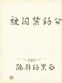 被囚禁的公主