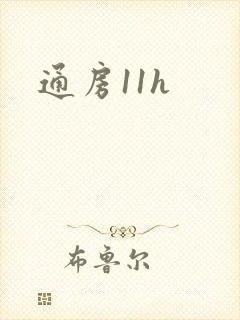 通房11h