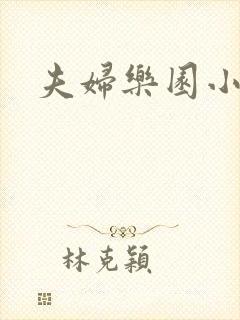 夫妇乐园小说封面