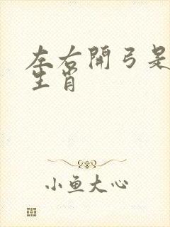 左右开弓是什么生肖封面