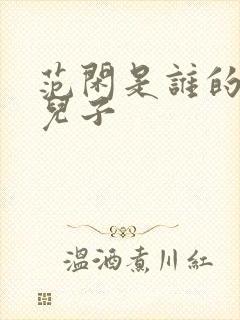 范闲是谁的亲生儿子封面
