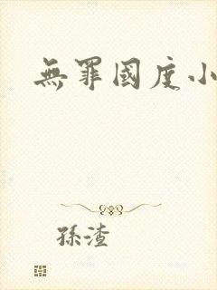 无罪国度小说