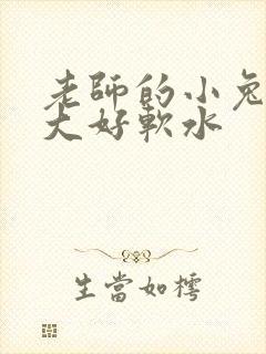 老师的小兔子好大好软水封面
