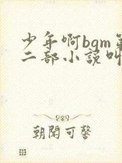 少年啊bgm第二部小说叫什么