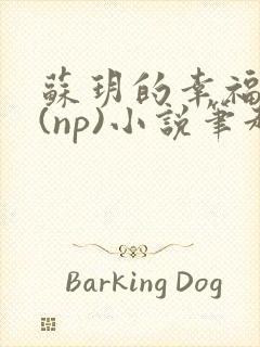 苏玥的幸福生活(np)小说笔趣阁封面