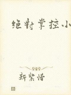 绝对掌控小说封面