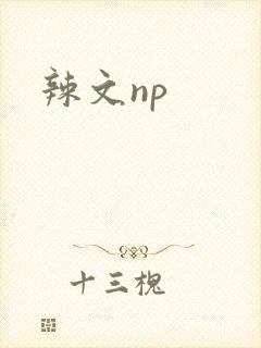 辣文np