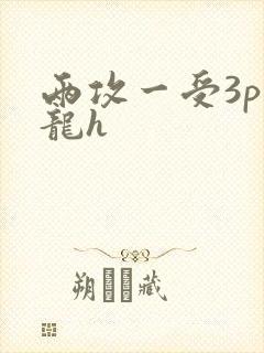 两攻一受3p双龙h