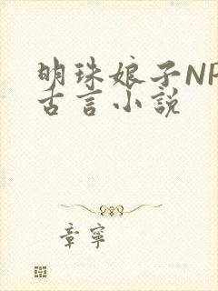 明珠娘子NPC古言小说