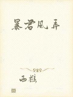 暴君风弄封面