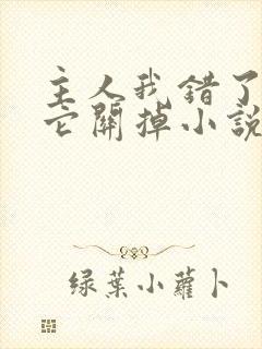主人我错了请把它关掉小说封面