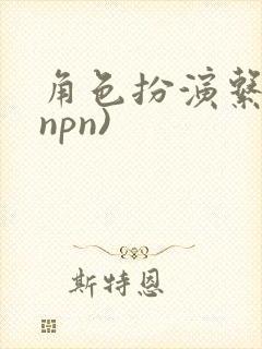 角色扮演系统(npn)封面