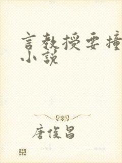 言教授要撞坏了小说封面