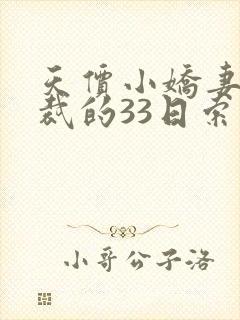 天价小娇妻,总裁的33日索情全文免费封面