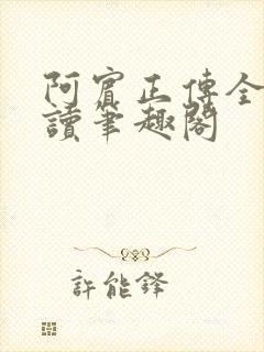 阿宾正传全文阅读笔趣阁
