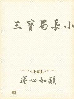 三宝局长小说封面