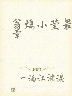 翁熄小莹最新节章