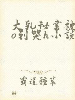大乳秘书被cao到哭h小说