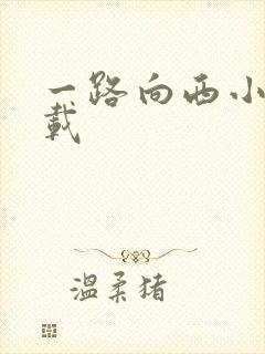一路向西小说下载