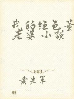我的绝色董事长老婆 小说