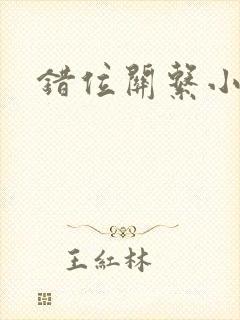 错位关系小说