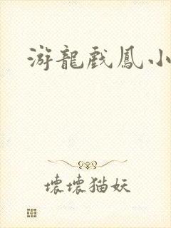 游龙戏凤小说