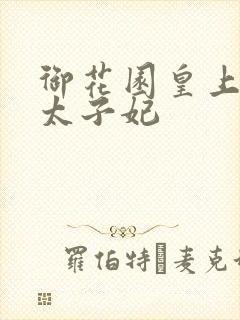 御花园皇上撞着太子妃封面