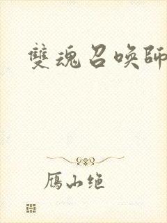 双魂召唤师