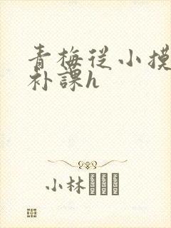 青梅从小摸到大补课h