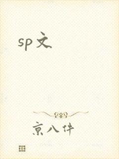 sp文封面
