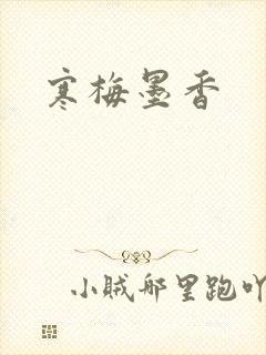 寒梅墨香封面
