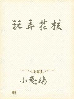 玩弄花核