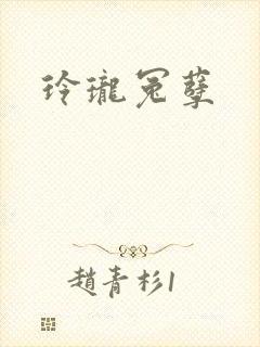 玲珑冤孽