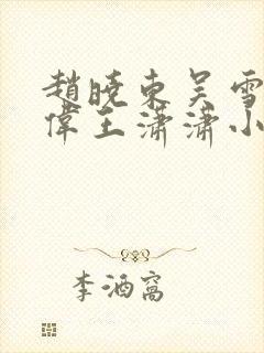赵晓东吴雪晴郑伟王潇潇小说名字