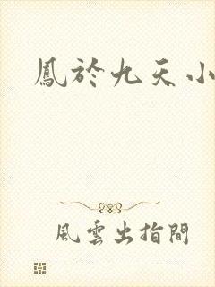 凤于九天小说