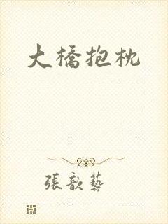 大桥抱枕