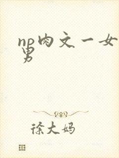 np肉文一女多男封面