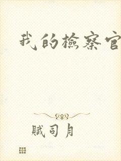 我的检察官先生