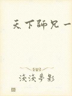 天下师兄一般黑封面