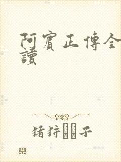 阿宾正传全文阅读封面