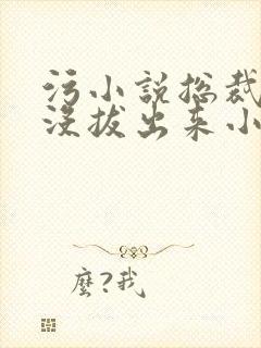 污小说总裁整夜没拔出来小说在线阅读