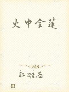 火中金莲封面