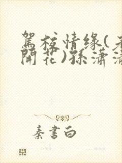 书籍封面