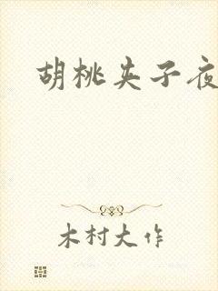 胡桃夹子夜未眠封面