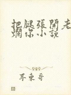 把腿张开老子臊烂你小说