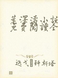 叶泽涛小说全文免费阅读全文
