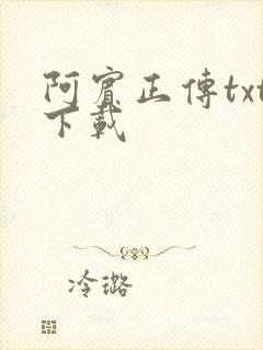 阿宾正传txt下载